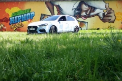 N31-herbe_coupe-ciccio73